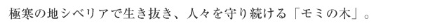 天然由来原料がもたらす「本当の癒し」